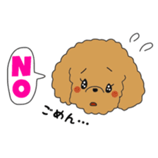 Toy poodle of the name as PU sticker #9767145