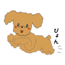 Toy poodle of the name as PU sticker #9767146