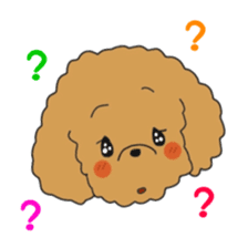 Toy poodle of the name as PU sticker #9767148