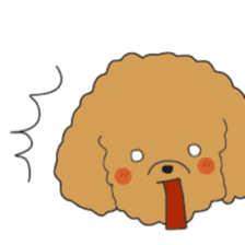 Toy poodle of the name as PU sticker #9767151