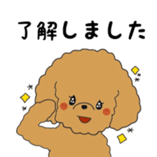 Toy poodle of the name as PU sticker #9767153