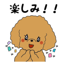 Toy poodle of the name as PU sticker #9767154