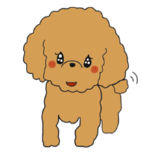 Toy poodle of the name as PU sticker #9767155