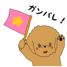 Toy poodle of the name as PU sticker #9767158