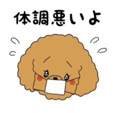 Toy poodle of the name as PU sticker #9767160