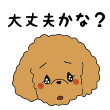 Toy poodle of the name as PU sticker #9767162