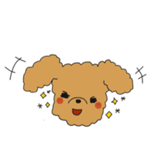 Toy poodle of the name as PU sticker #9767163