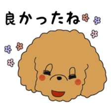 Toy poodle of the name as PU sticker #9767167