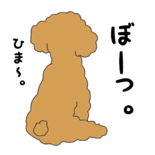 Toy poodle of the name as PU sticker #9767168