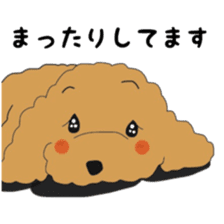 Toy poodle of the name as PU sticker #9767169