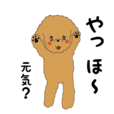 Toy poodle of the name as PU sticker #9767173
