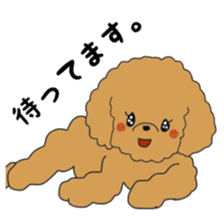 Toy poodle of the name as PU sticker #9767174