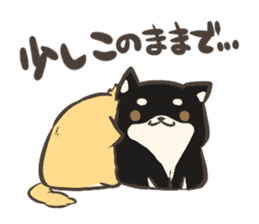 a lazy Shiba Inu & a black Shiba Inu sticker #9768589