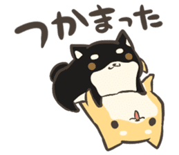 a lazy Shiba Inu & a black Shiba Inu sticker #9768607
