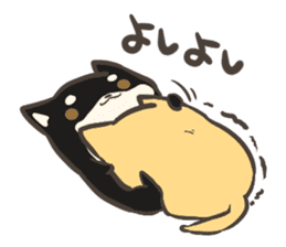 a lazy Shiba Inu & a black Shiba Inu sticker #9768615