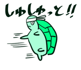 Cute turtles sticker #9768961
