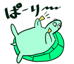 Cute turtles sticker #9768965