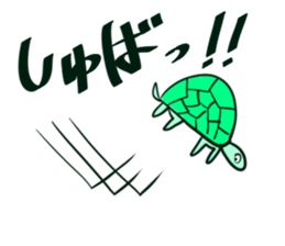 Cute turtles sticker #9768966