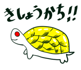 Cute turtles sticker #9768975