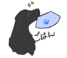 with dog sticker #9769217