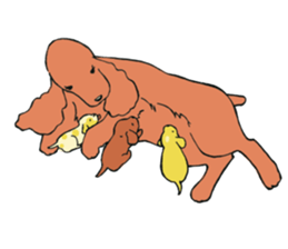 with dog sticker #9769255