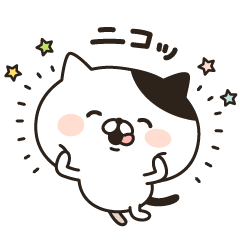 The bicolor cat are always smile