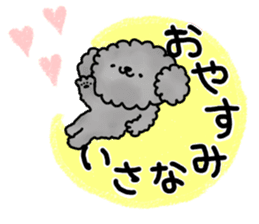 It is an honorific softly. toy poodle sticker #9771898