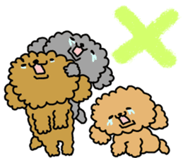 It is an honorific softly. toy poodle sticker #9771905