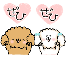 It is an honorific softly. toy poodle sticker #9771907