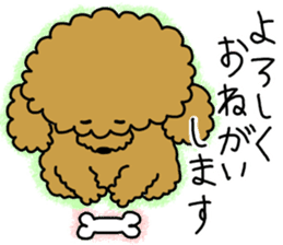 It is an honorific softly. toy poodle sticker #9771913
