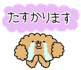 It is an honorific softly. toy poodle sticker #9771914