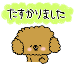 It is an honorific softly. toy poodle sticker #9771915