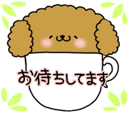 It is an honorific softly. toy poodle sticker #9771922