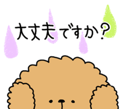 It is an honorific softly. toy poodle sticker #9771924