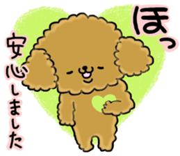 It is an honorific softly. toy poodle sticker #9771926