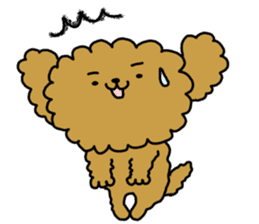 It is an honorific softly. toy poodle sticker #9771929
