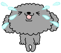 It is an honorific softly. toy poodle sticker #9771930