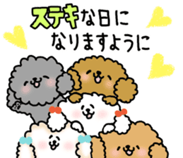 It is an honorific softly. toy poodle sticker #9771935