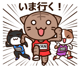 SDF cat second Squadron sticker #9772872