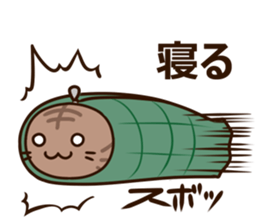 SDF cat second Squadron sticker #9772881