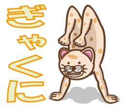 dopey "lion cat"3 sticker #9773275
