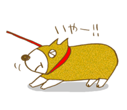 Welsh corgi is Sandy sticker #9774950