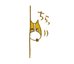 Welsh corgi is Sandy sticker #9774958