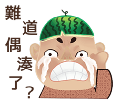 Watermelon Skin KID sticker #9775449