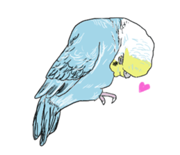 true  parrots sticker #9776500