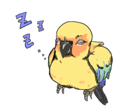 true  parrots sticker #9776507