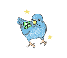 true  parrots sticker #9776511