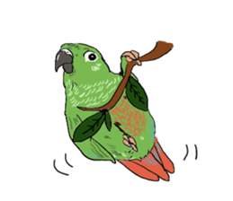 true  parrots sticker #9776513