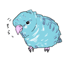 true  parrots sticker #9776520