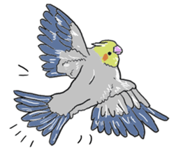 true  parrots sticker #9776526